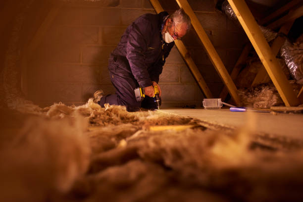 Types of Insulation We Offer in Buena Vista, VA